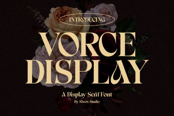 Vorce Display Font for Modern Campaigns